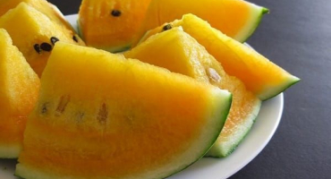 Existují melouny se žlutou dužinou uvnitř, jaký je název odrůdy a vlastnosti pěstování